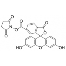 5(6)-Carboxyfluorescein succinimidyl ester